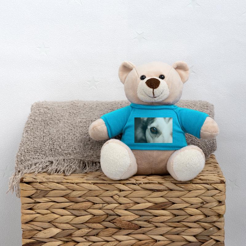 Œil de Husky Nounours