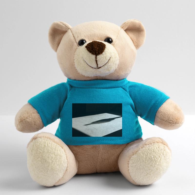 Ein Schatten einer einzelnen Person auf einem Fliesenboden Teddy