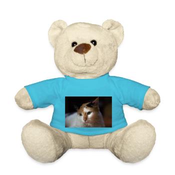 Die Katze - Teddy - Atollblau - Vorne