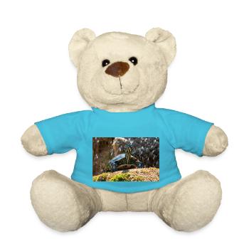 Gelbbauch-Slider Trachemys scripta scripta - Teddy - Atollblau - Vorne