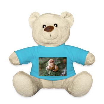 Cyprès d’Italie aussi cyprès de Méditerranée - Nounours - bleu outremer - Devant