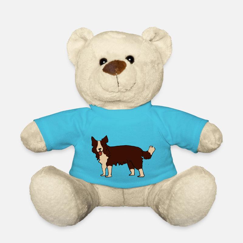 Border Collie - Teddy - Atollblau
