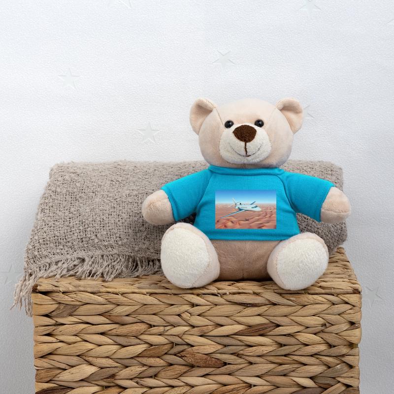 A passenger plane over a sandy desert Teddy Bear