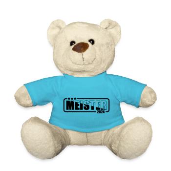 Meister 2024 Aufstiegstrikot Aufstieg 24 - Teddy - Atollblau - Vorne