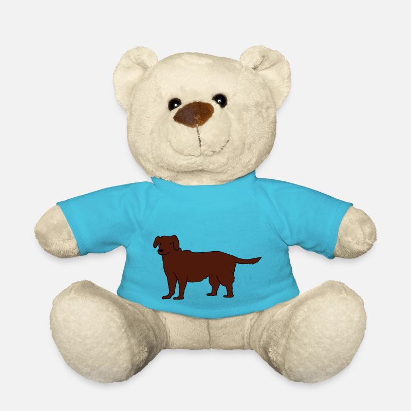 Labrador - Teddy - Atollblau