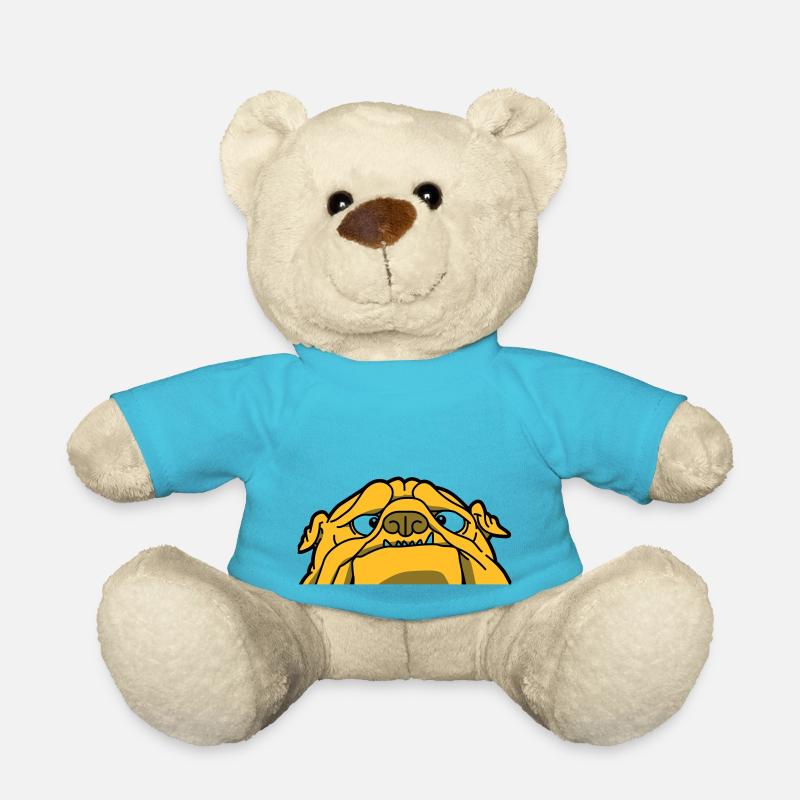 Eine englische Bulldogge - Teddy - Atollblau