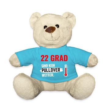 22 Grad T Shirt Wetter - Teddy - Atollblau - Vorne