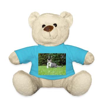 Neugieriges Kätzchen - Teddy - Atollblau - Vorne