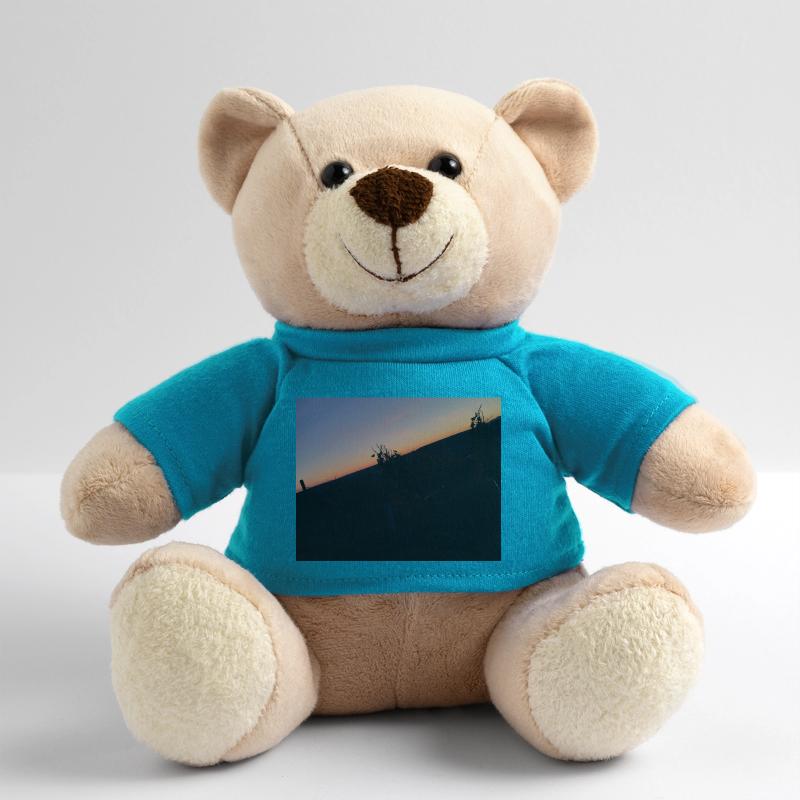 The night Teddy Bear