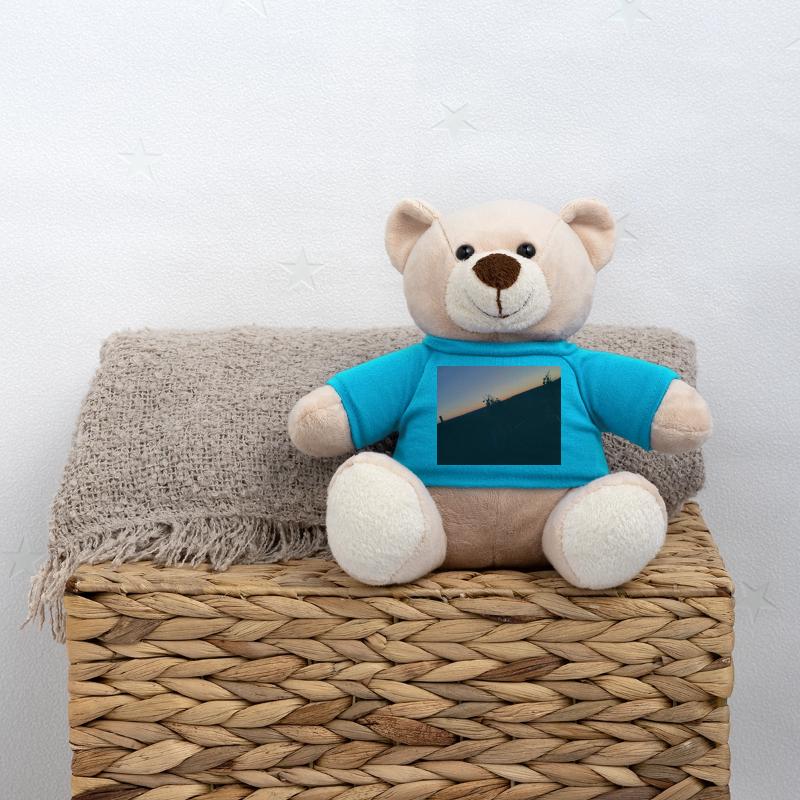 The night Teddy Bear