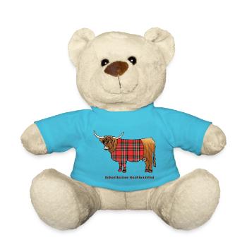 Schottisches Hochlandrind - Teddy - Atollblau - Vorne