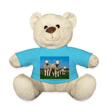 agneaux dans les pâturages - Nounours - bleu outremer - Devant