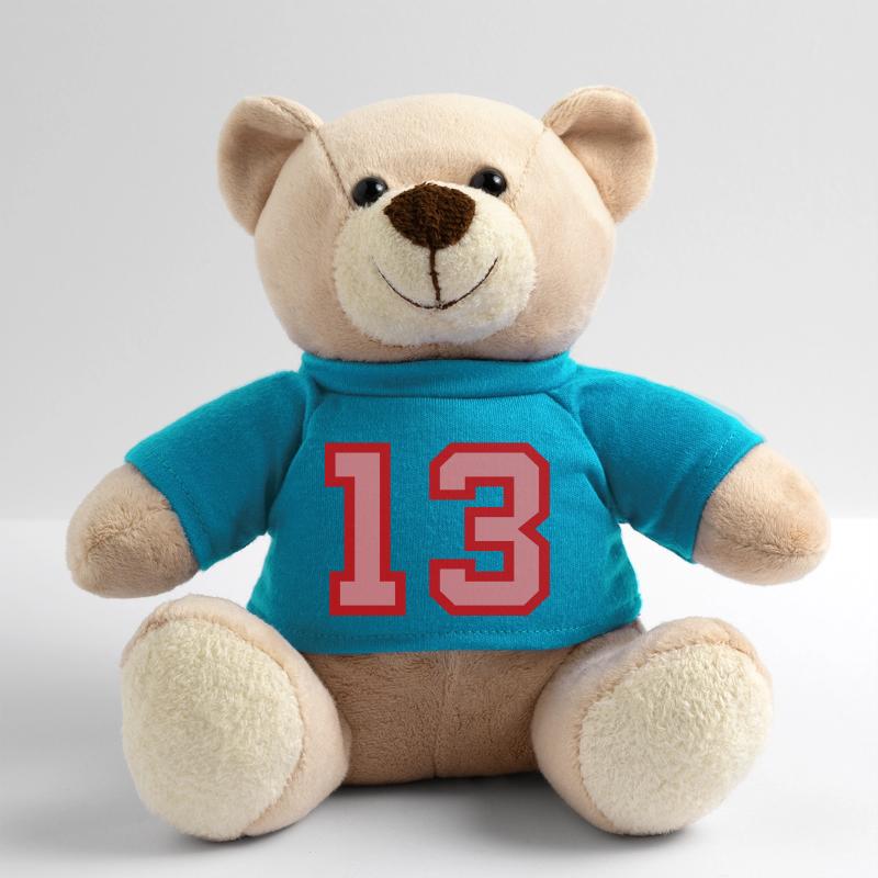 Cool Retro Retrostyle Jersey Number Back Number Teddy Bear