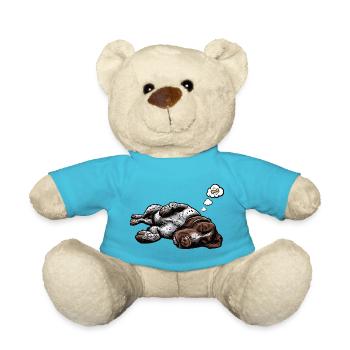 Deutsch Drahthaar Deutsch-Drahthaar Besitzer - Teddy - Atollblau - Vorne