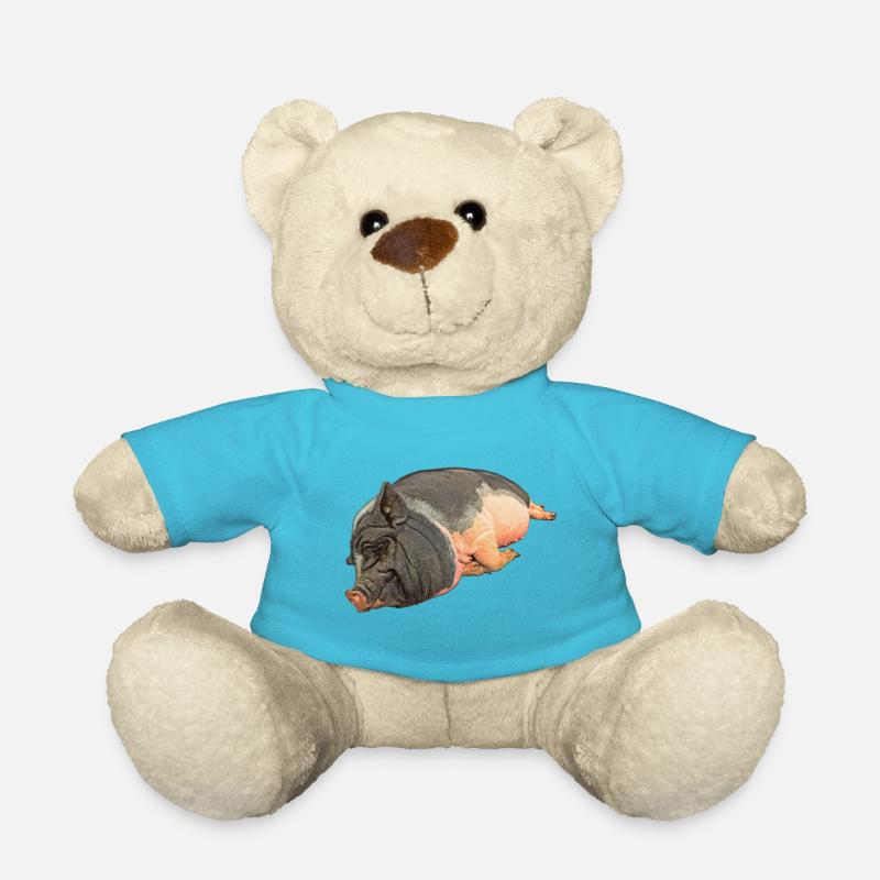 Schlafendes Hängebauchschwein , freigestellt - Teddy - Atollblau