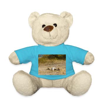 crâne d’un buffle du Cap Paysage en Namibie - Nounours - bleu outremer - Devant
