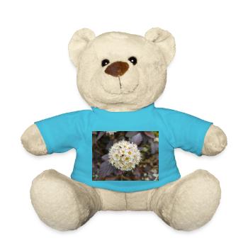Neunrinde Physocarpus capitatus Blasenspiere - Teddy - Atollblau - Vorne