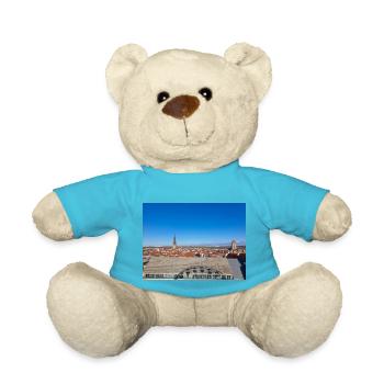 Rostocker Skyline und Altstadt hinter dem Rathaus - Teddy - Atollblau - Vorne