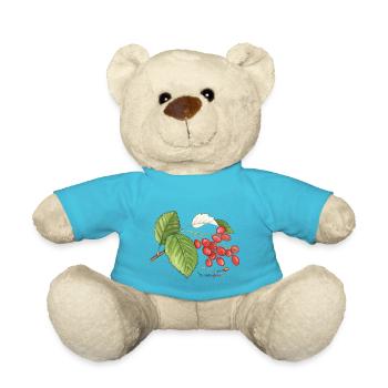 Echte Mehlbeere (Sorbus aria) - Teddy - Atollblau - Vorne