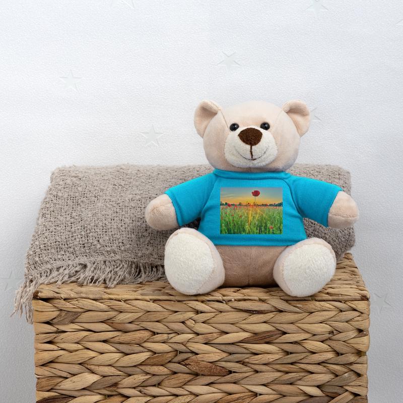 Mohnfeld Wolfsburg Teddy