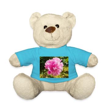 Chinesische Pfingstrose Chinesische Pfingsrose Paeonia - Teddy - Atollblau - Vorne