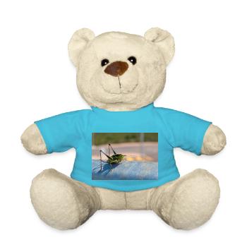 Eupholidoptères Eupholidoptera chabrieri - Nounours - bleu outremer - Devant