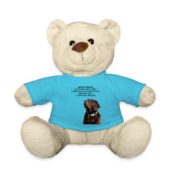 Die Gesetze eines Labradors - Teddy - Atollblau - Vorne
