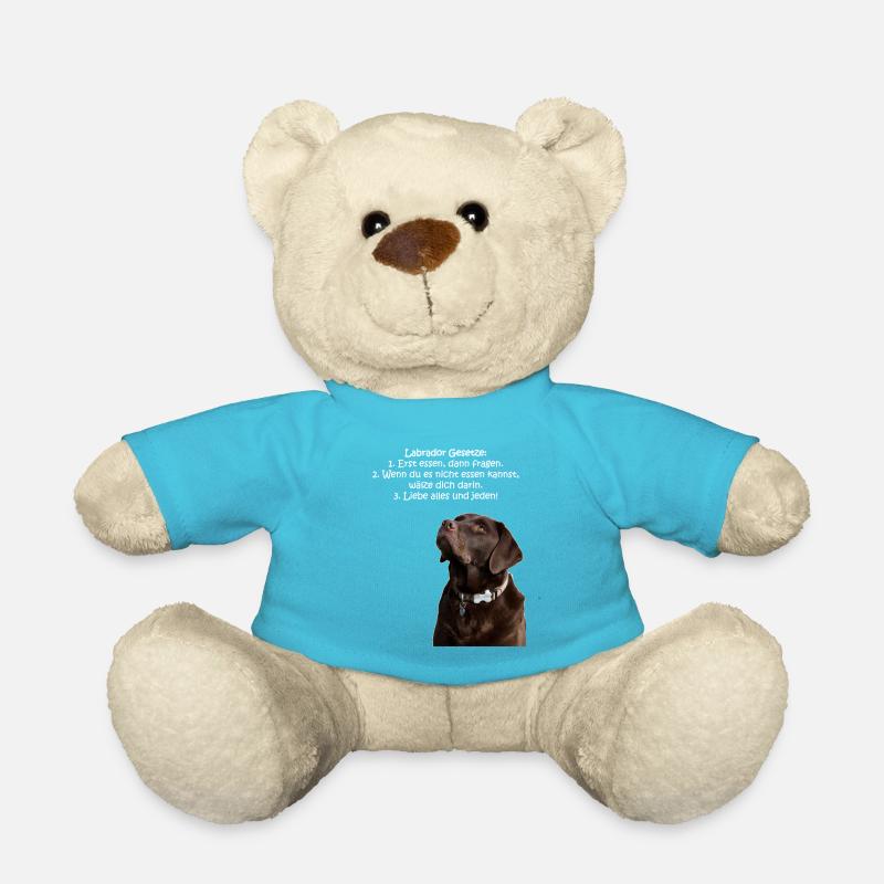 Die Gesetze eines Labradors - Teddy - Atollblau