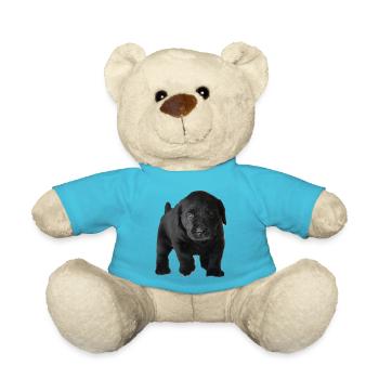 Foto 1618694316942 - Teddy - Atollblau - Vorne
