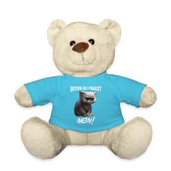 Bevor du fragst Nein - Teddy - Atollblau - Vorne