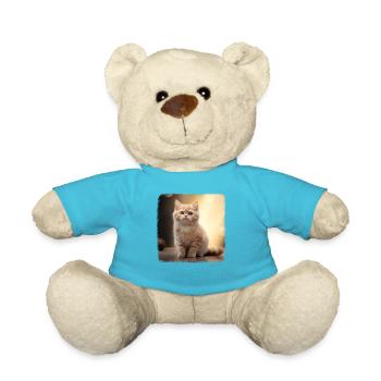 Munchkin Kätzchen Munchkin Katze - Teddy - Atollblau - Vorne