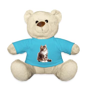 Norwegian Forest Cat Norwegische Waldkatze - Teddy - Atollblau - Vorne
