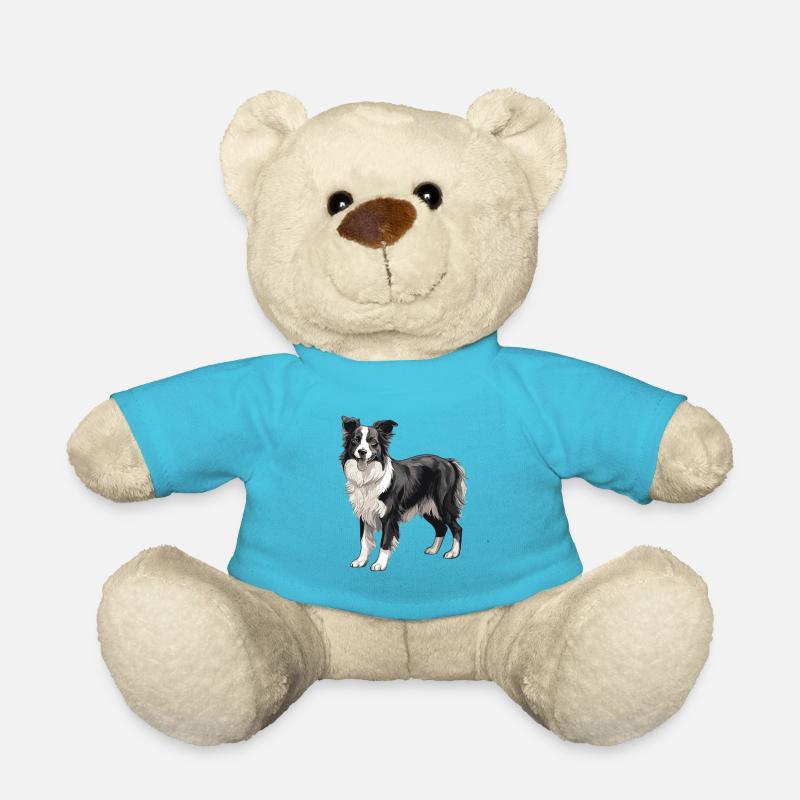 Border Collie Hund - Teddy - Atollblau