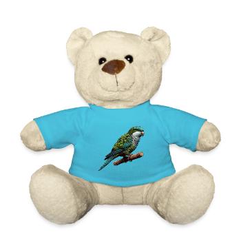 Quäker Papagei Mönch Sittich - Teddy - Atollblau - Vorne
