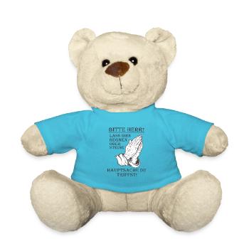 Bitte Herr lass Hirn regnen oder Steine Lustig - Teddy - Atollblau - Vorne