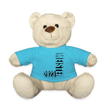 Meister 2023 Aufstiegstrikot Aufstieg 23 - Teddy - Atollblau - Vorne