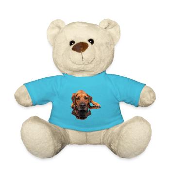 Rhodesian Ridgeback Foto - Spiegelbild - Teddy - Atollblau - Vorne