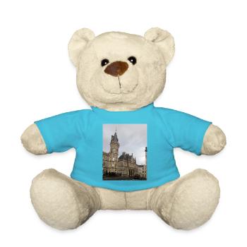 Palais de justice de Sligo, Irlande. - Nounours - bleu outremer - Devant