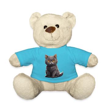 Britische Kurzhaar Katze - Teddy - Atollblau - Vorne