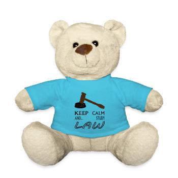Jura studieren Jura-Student Jura-Student Geschenk - Teddy - Atollblau - Vorne