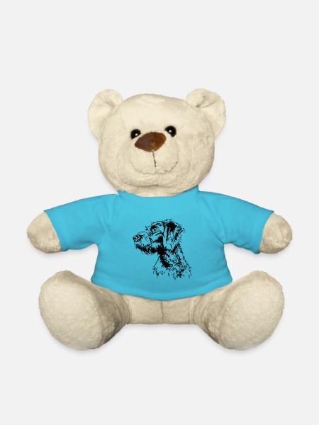 DEUTSCH DRAHTHAAR Wilsigns Jagdhund Jagdhunde - Teddy - Atollblau
