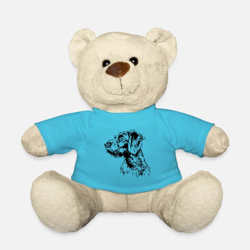 DEUTSCH DRAHTHAAR Wilsigns Jagdhund Jagdhunde - Teddy - Atollblau