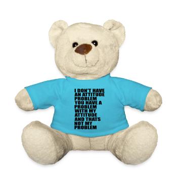 Ich habe kein Problem Zitat - Teddy - Atollblau - Vorne