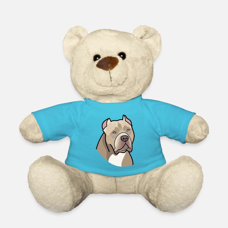 American Bully - Kopf (Farben) - Teddy - Atollblau
