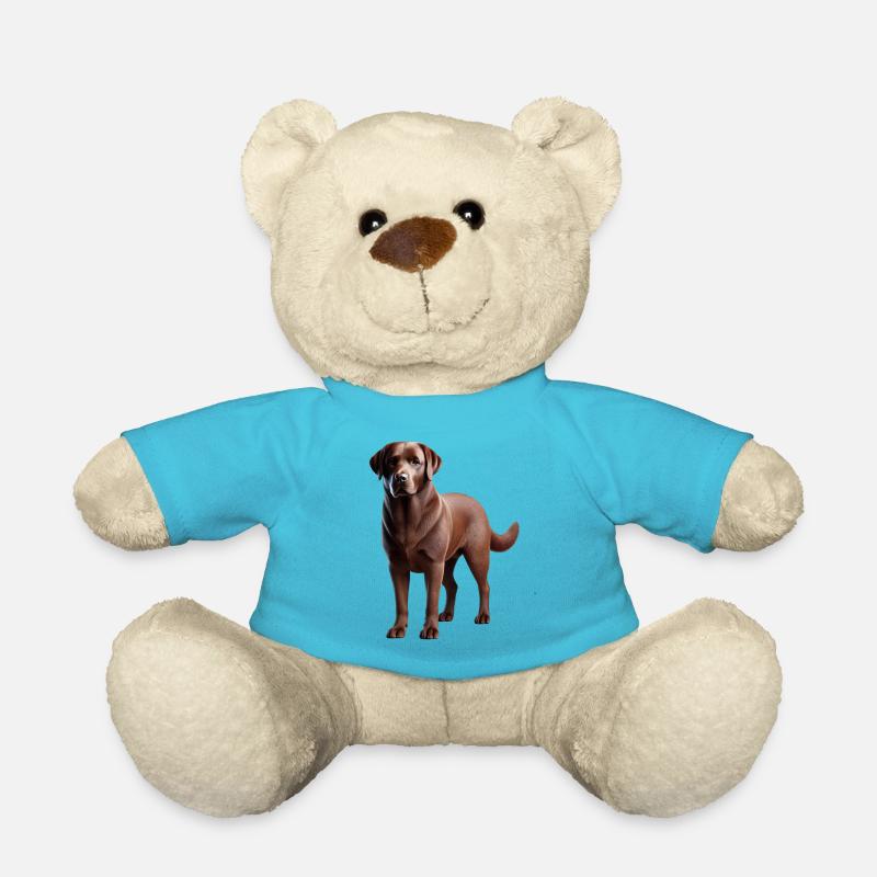 Labrador Hund - Teddy - Atollblau