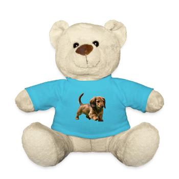 Dackelwelpe - Teddy - Atollblau - Vorne
