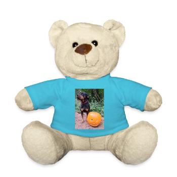 Kürbis Hund Halloween Herbst - Teddy - Atollblau - Vorne