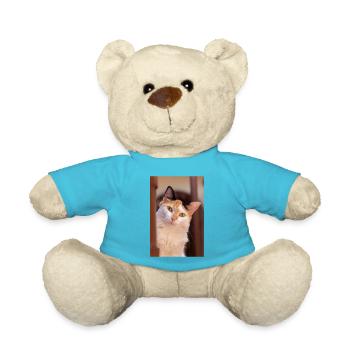 Die Katze - Teddy - Atollblau - Vorne