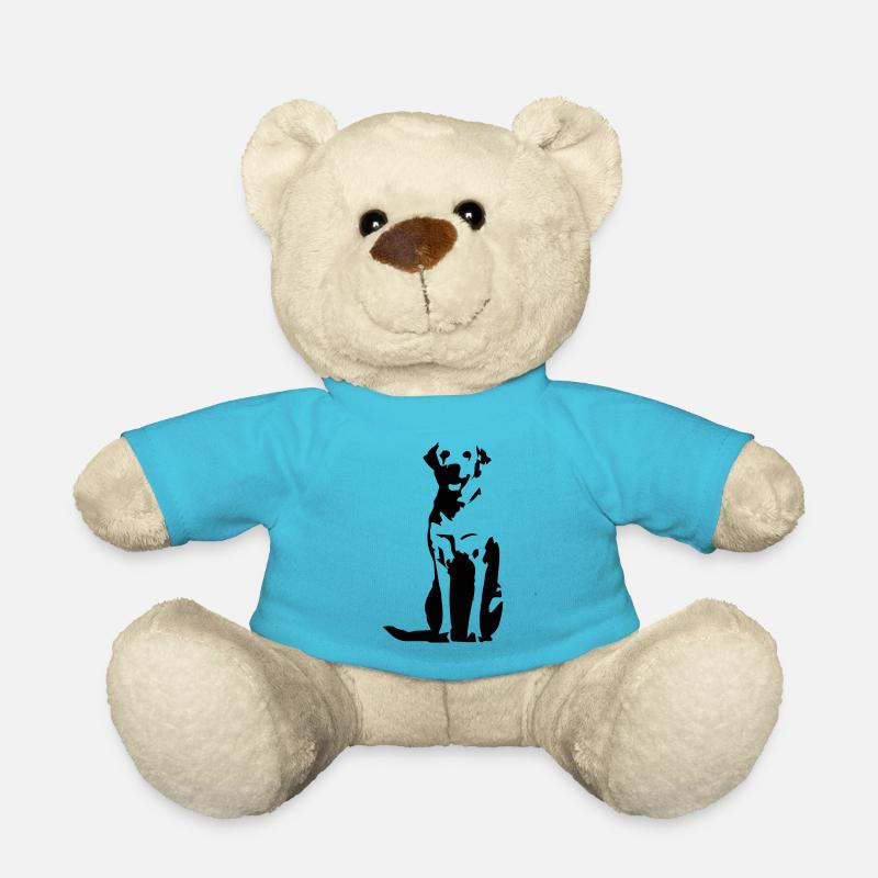 Labrador Retriever schwarz - Teddy - Atollblau
