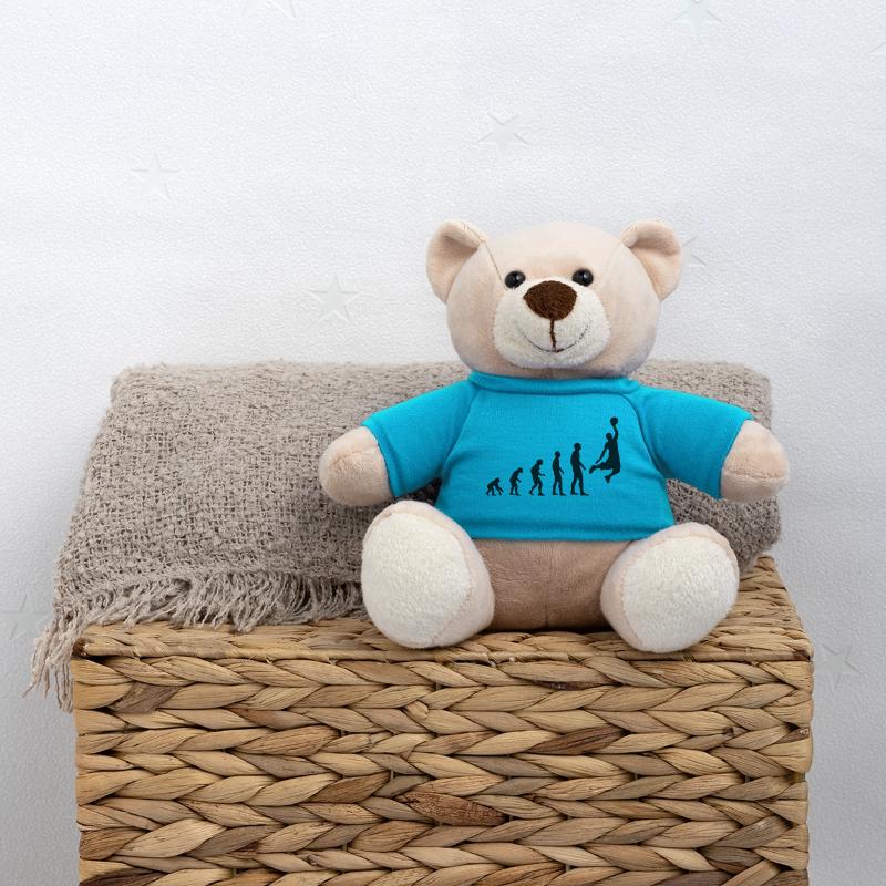 Evolution basketball Teddy Bear